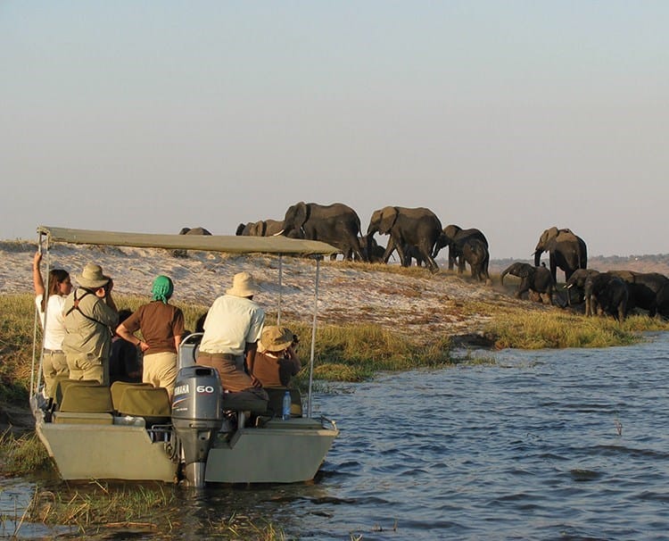 river safari in africa