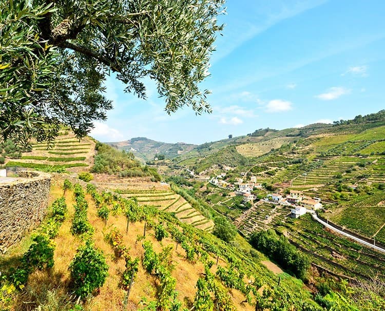 river cruises in the douro