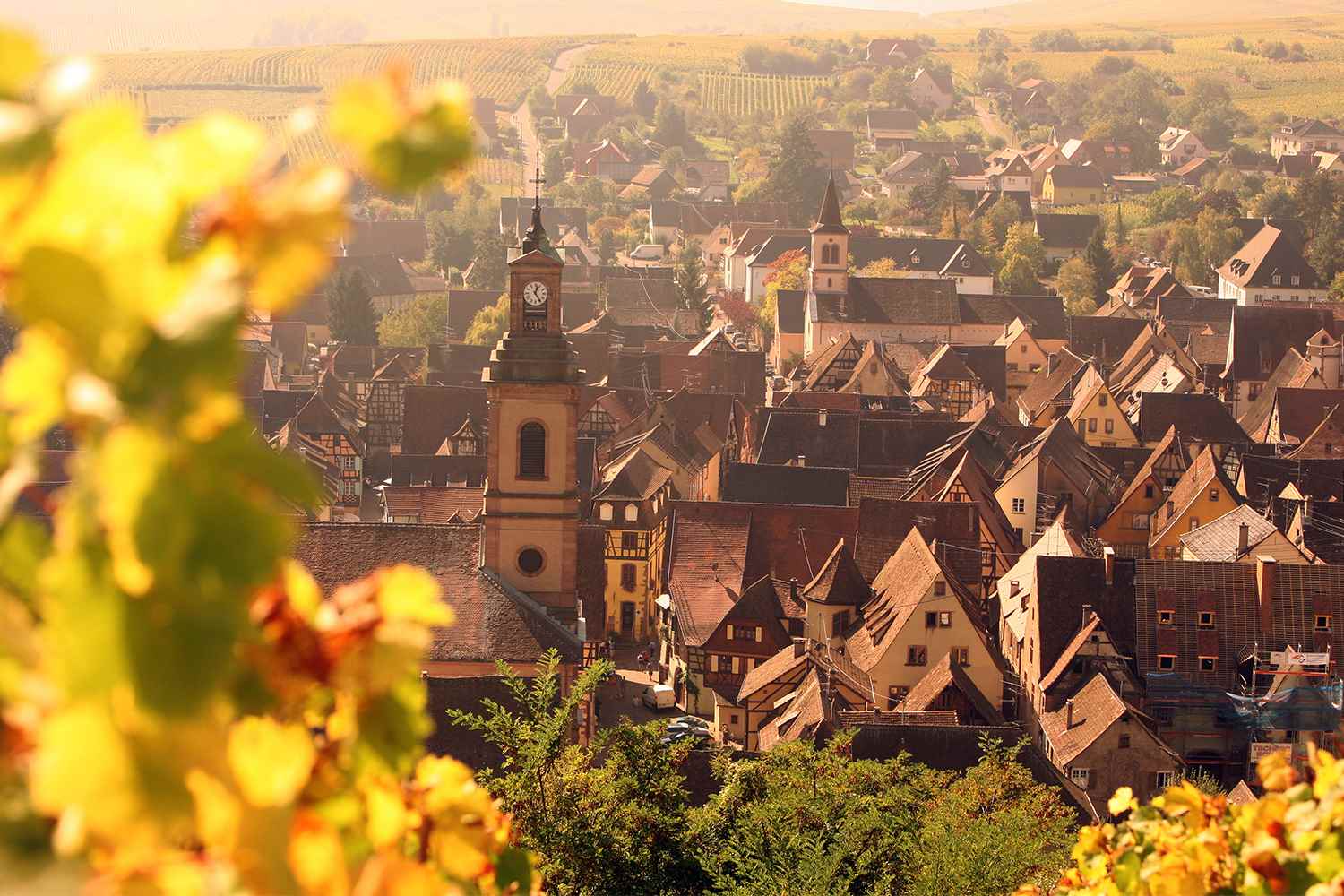 /Assets/CruiseGallery/Thumb/enchantingrhine_FRANCE_Riquewihr_ss_460398736_gallery.jpg