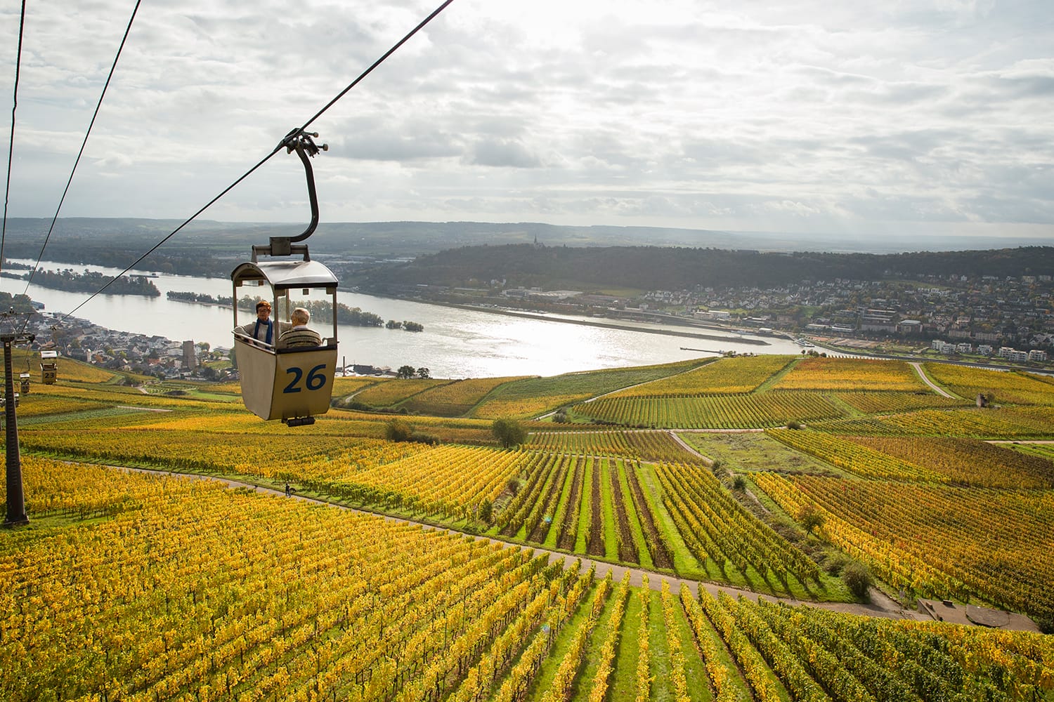 /Assets/CruiseGallery/Thumb/enchantingrhine_rudesheim_gallery.jpg