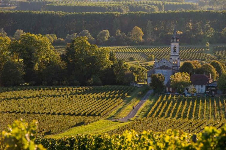 /Assets/Desktop/CruiseGallery/Thumb/Bordeaux_FRANCE_SauternesLoupiac_VineyardLandscape_ss_217211851_gallery.jpg