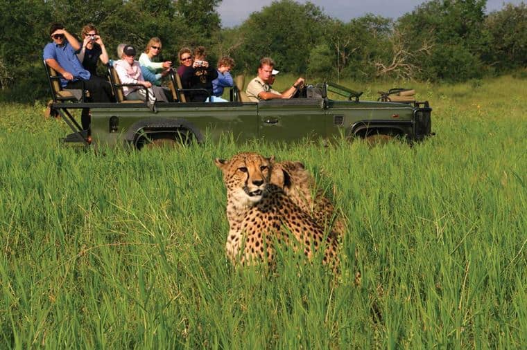 /Assets/Desktop/CruiseGallery/Thumb/wildlifefalls_Mkuze20Falls20Game20Drive_gallery.jpg