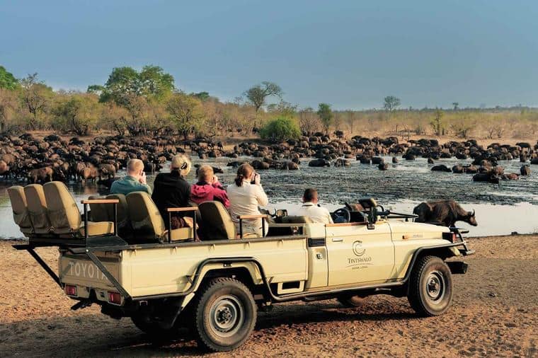 /Assets/Desktop/CruiseGallery/Thumb/wildlifefalls_Winelands_UG4_49849_gallery.jpg
