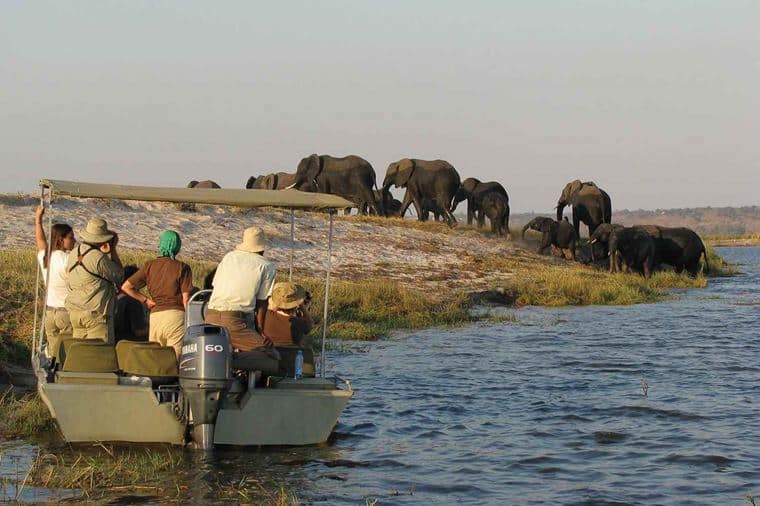 /Assets/Desktop/CruiseGallery/Thumb/wildlifefalls_waterbasedgameviewing_gallery.jpg