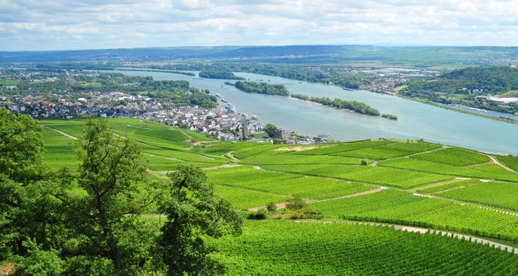 Captivating Rhine - Wine Cruise