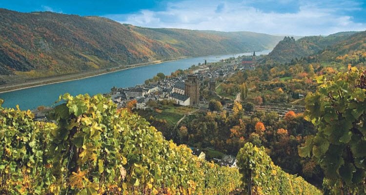 Enchanting Rhine Wine Cruise