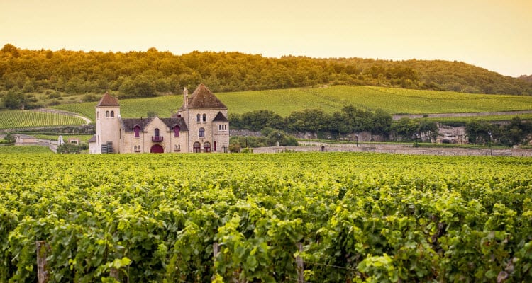 Flavors of Burgundy Wine Cruise