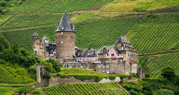 Rhine Castles & Swiss Alps Wine Cruise