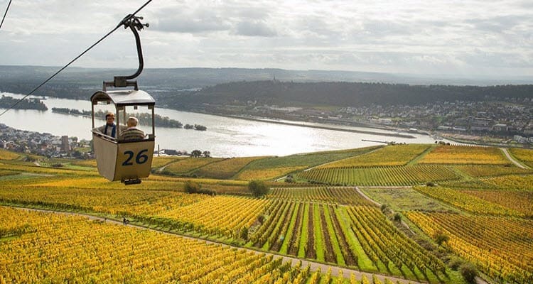 Rhine & Moselle Delights Wine Cruise