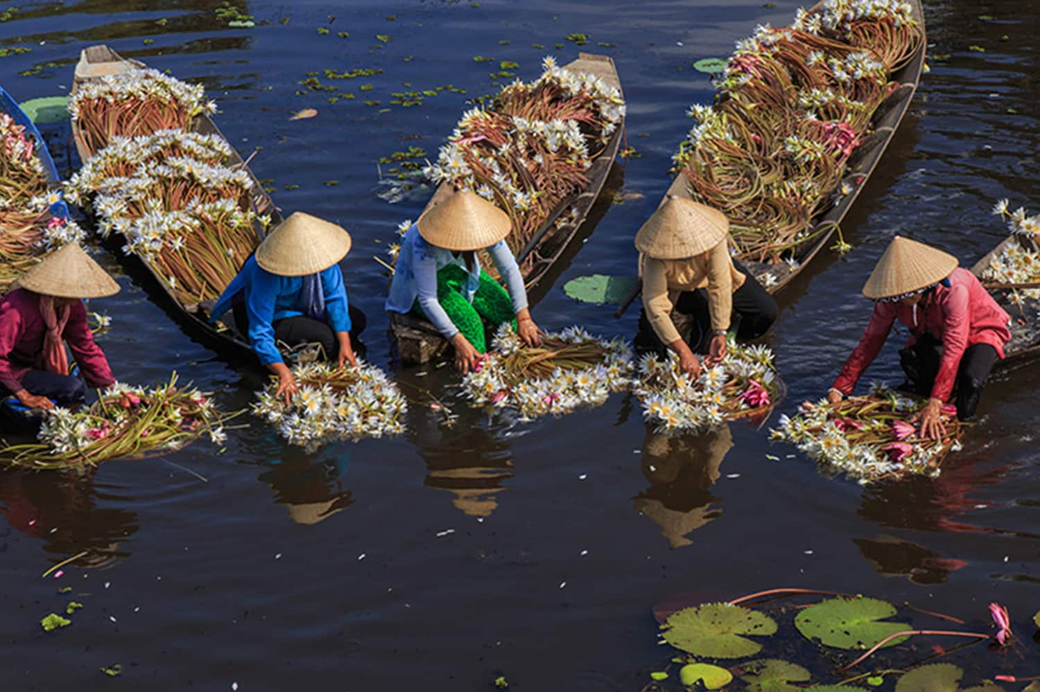 mekong river cruise boats