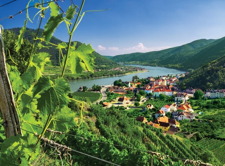 amawaterways solo travel