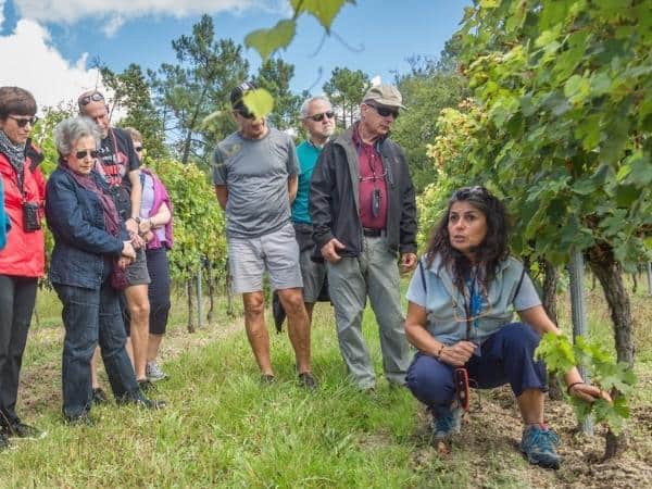 AmaWaterways Debuts Addition Of European Wine Experts To Its Celebration Of Wine River Cruises. Four Select 2022 Itineraries Through Celebrated Wine Regions Now Feature Wine Hosts From Europe  (Image - June 2022)