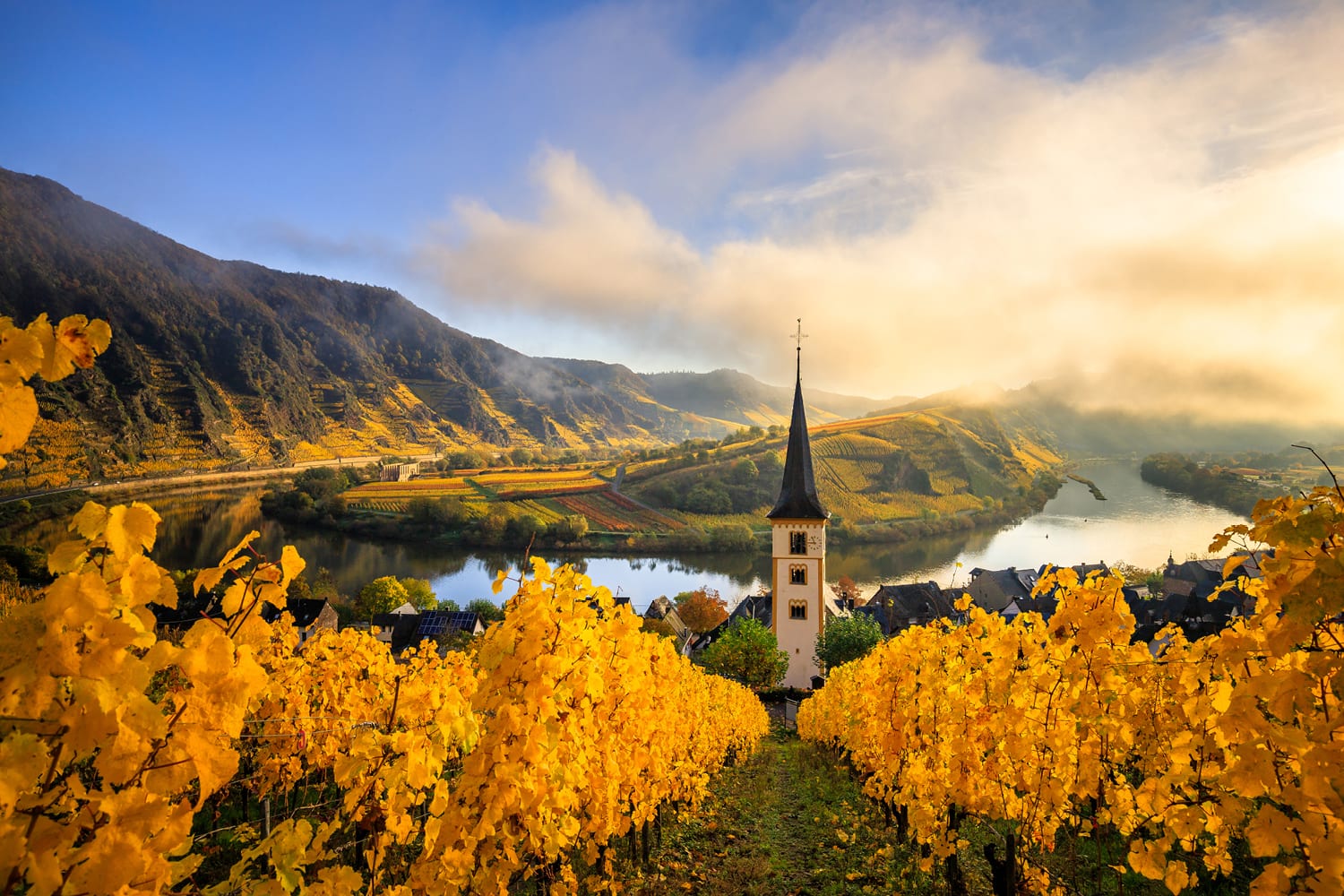 river cruises in france wine country