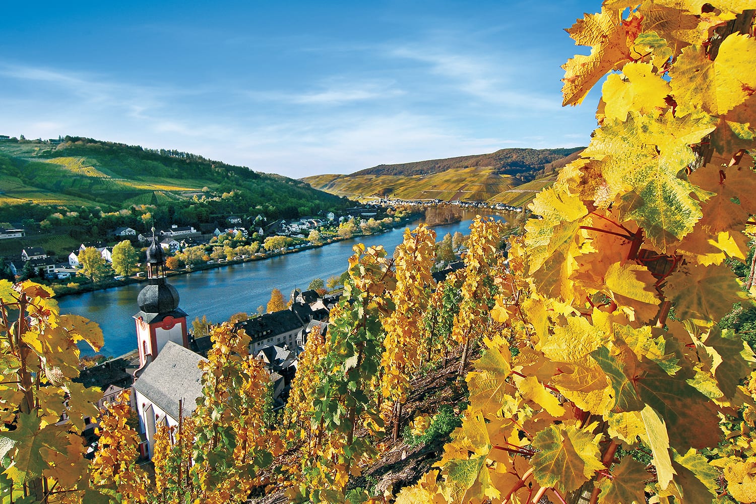 river cruises in france wine country