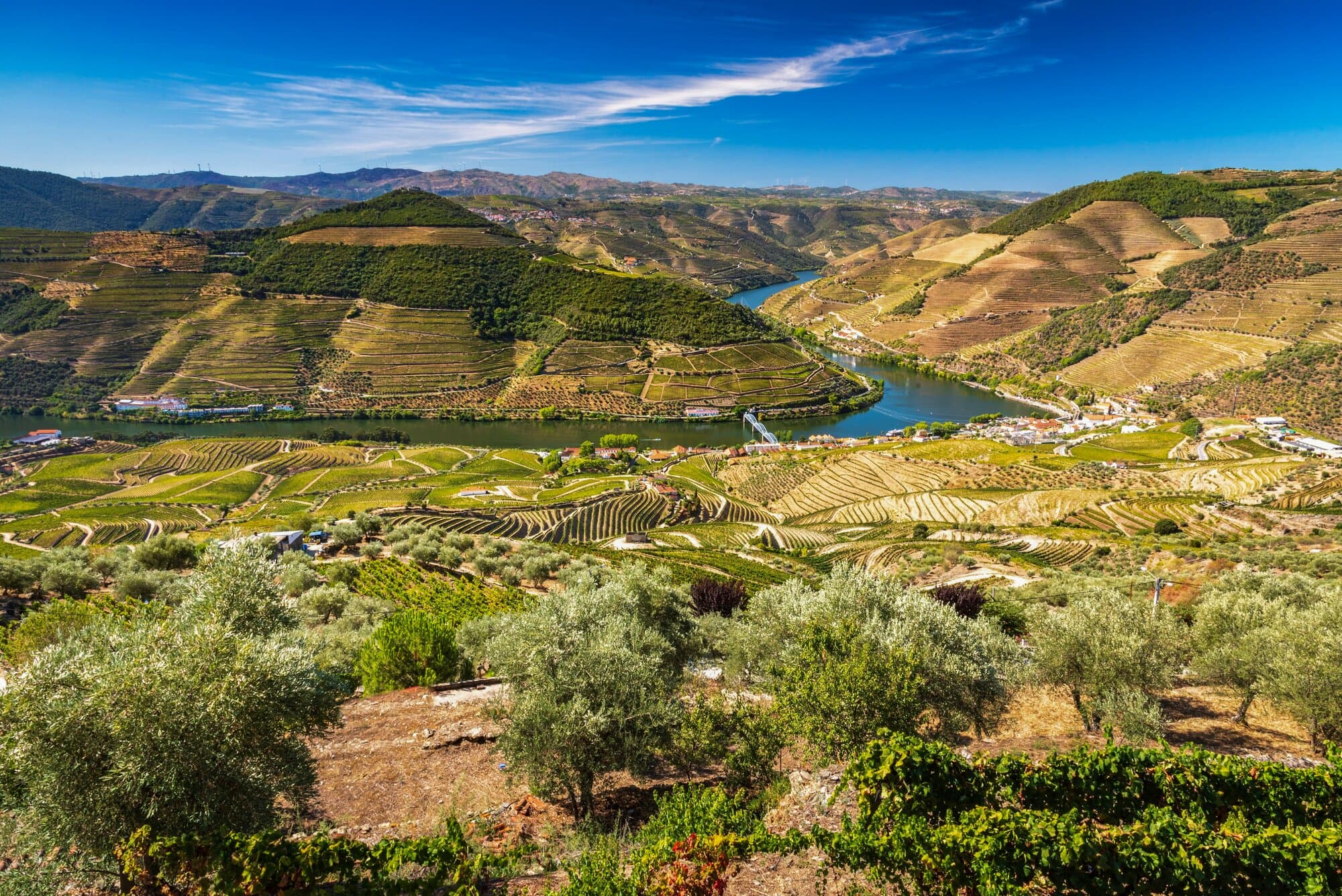 Enticing Douro
